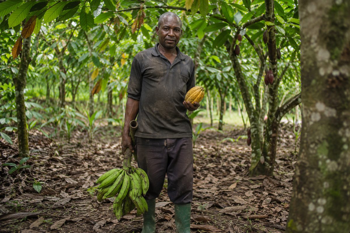 Agriculteur camerounais soutenu par CEIMIPRO